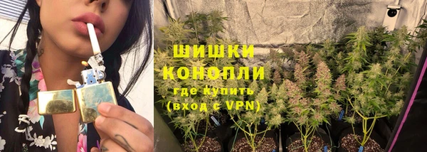 спайс Беломорск