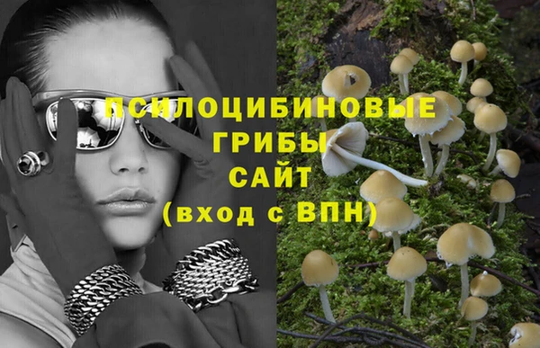 спайс Беломорск