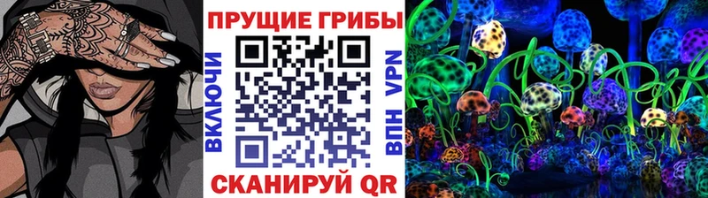 Галлюциногенные грибы Cubensis  ссылка на мегу онион  Шахунья  купить  сайты 