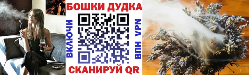 купить наркоту  Шахунья  Бошки Шишки LSD WEED 